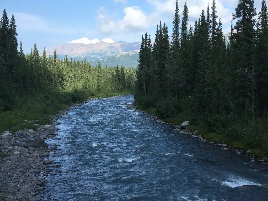 this-was-up-near-denali